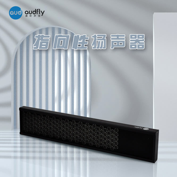 指向性揚(yáng)聲器